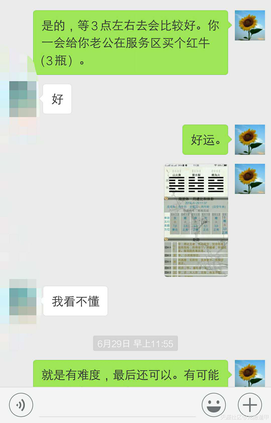 296357720.jpg