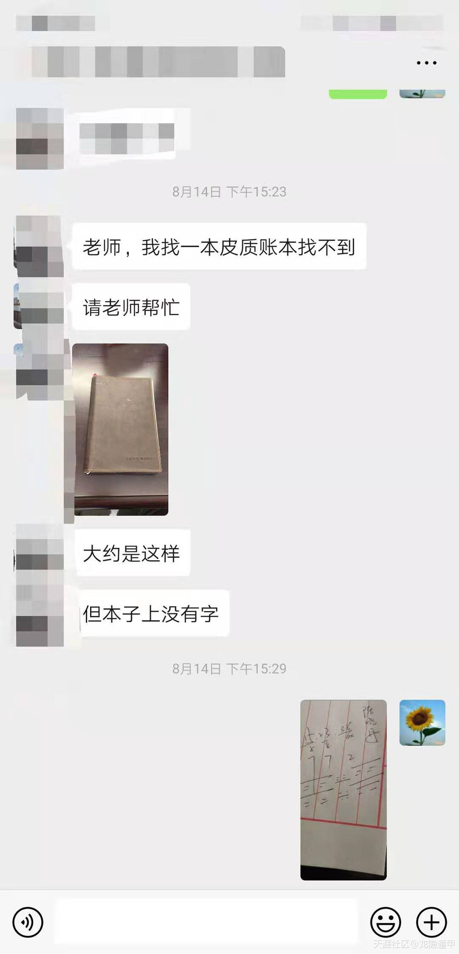 311789173.jpg