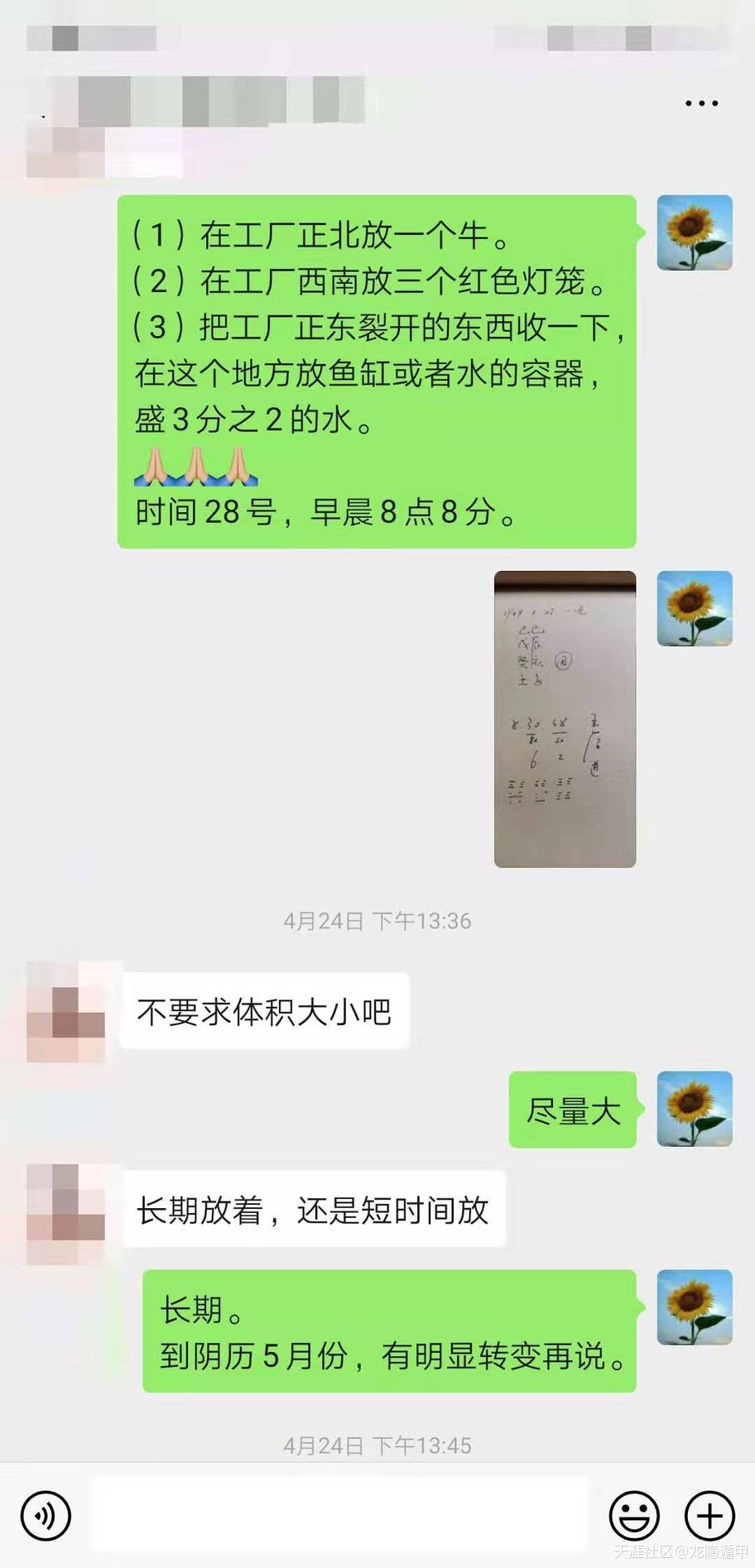 311950481.jpg