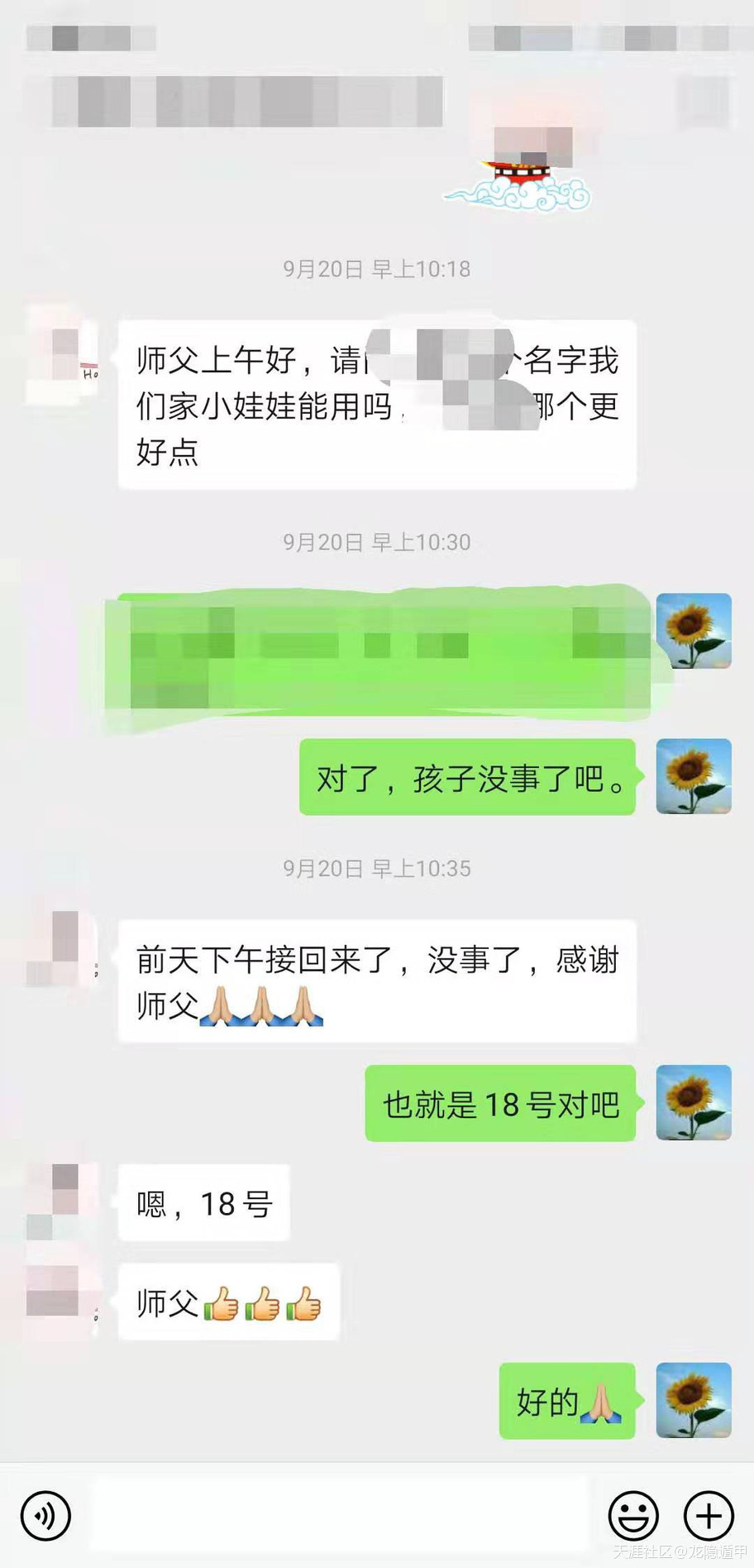 312313343.jpg