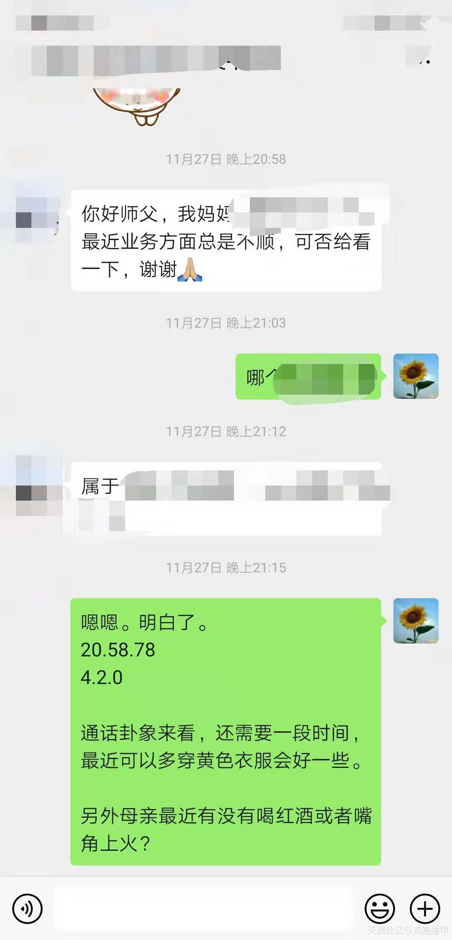313848402.jpg