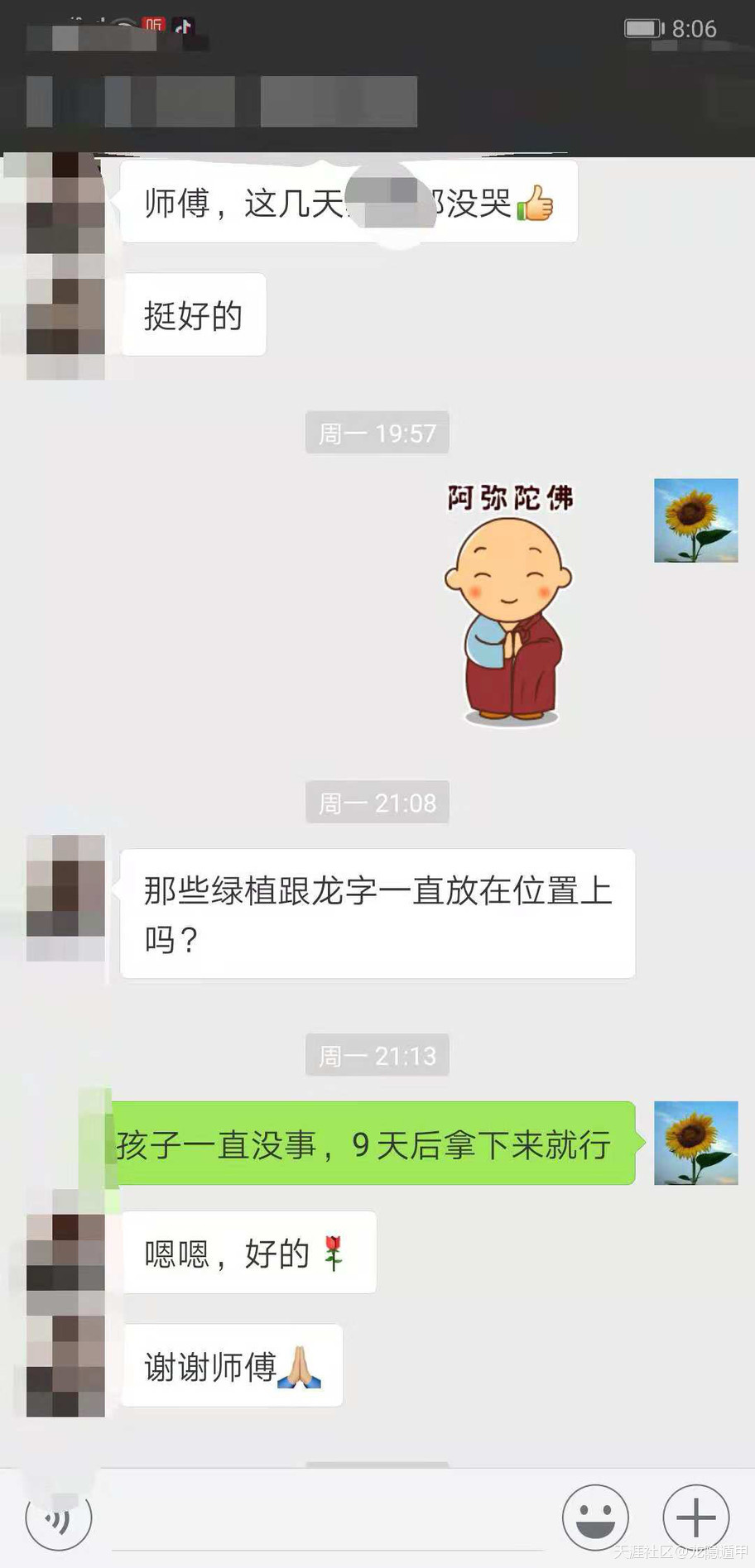302695141.jpg