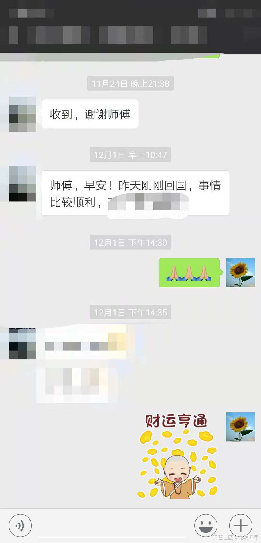302916223.jpg