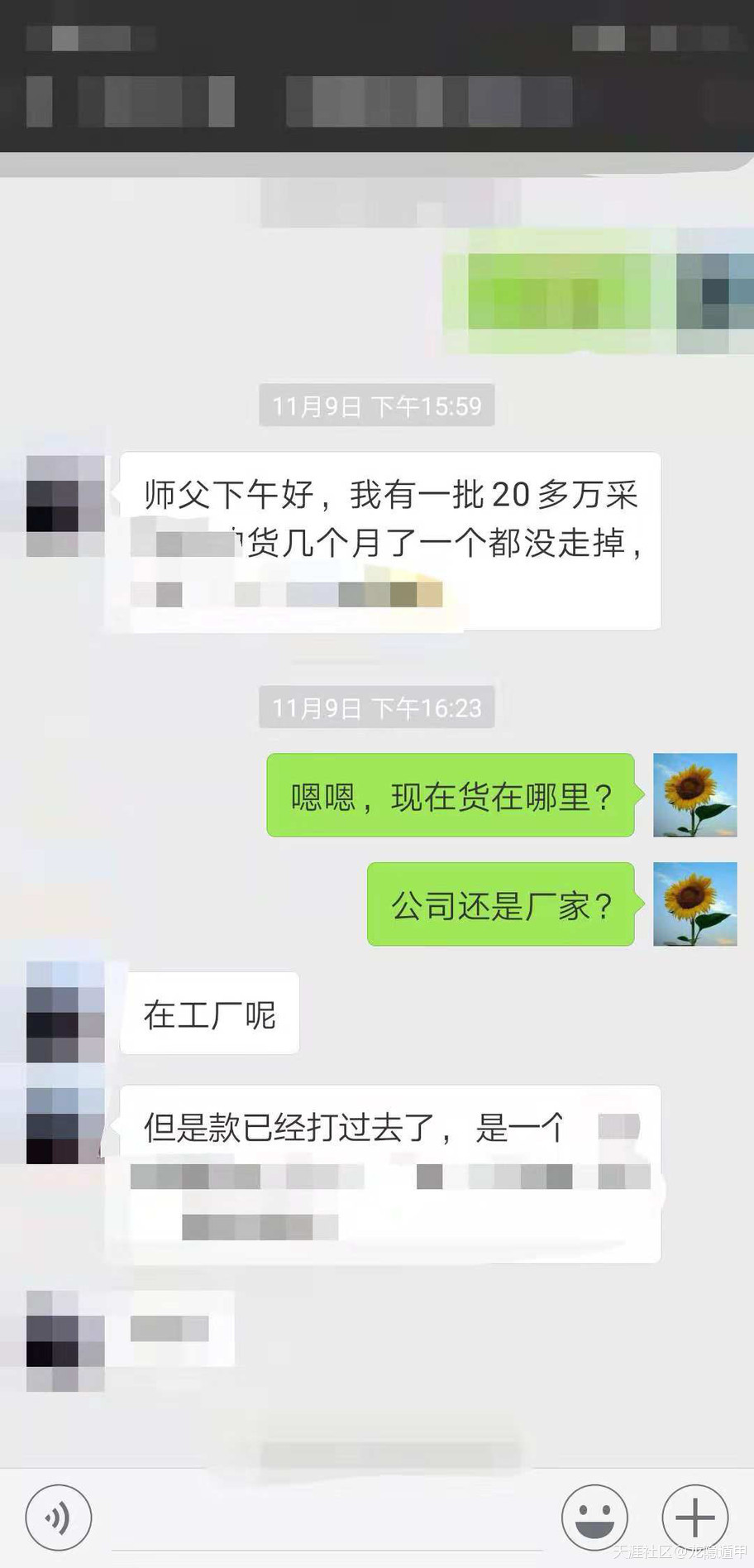 303050605.jpg