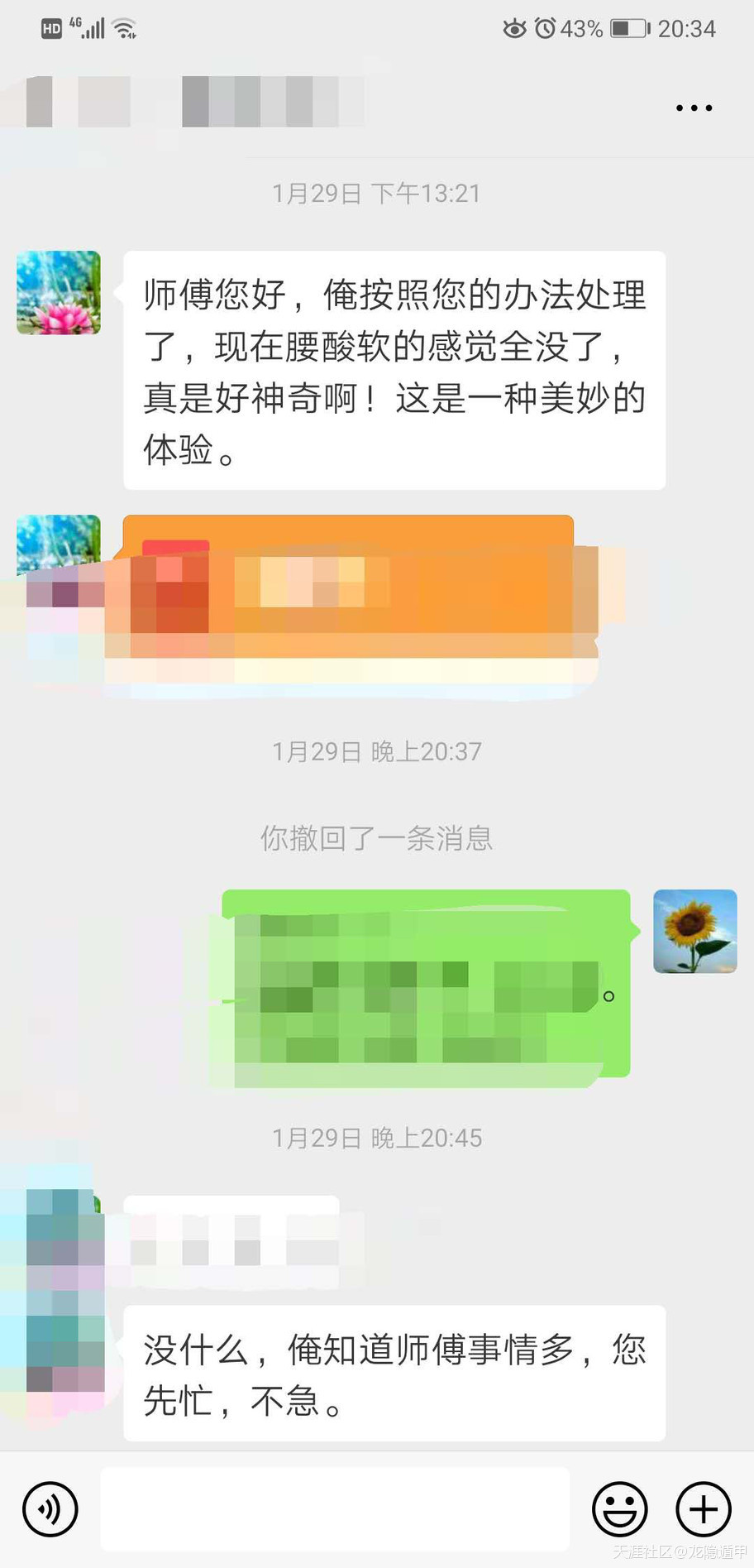 305872985.jpg