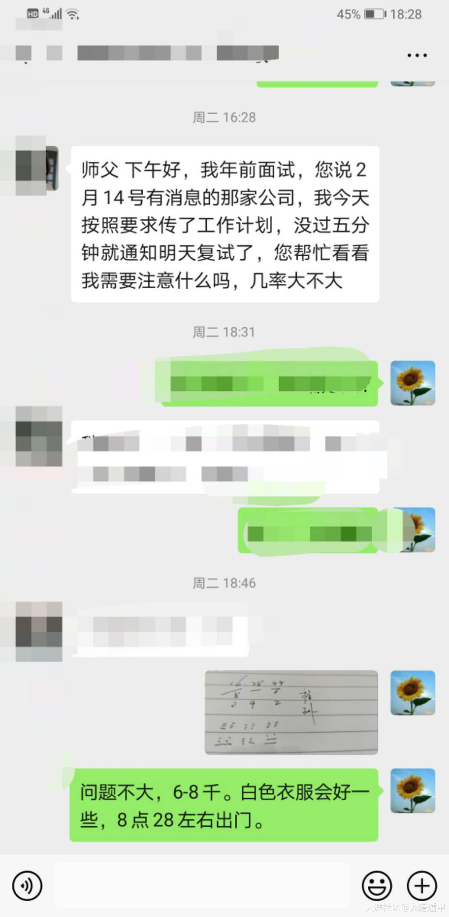 315438310.jpg