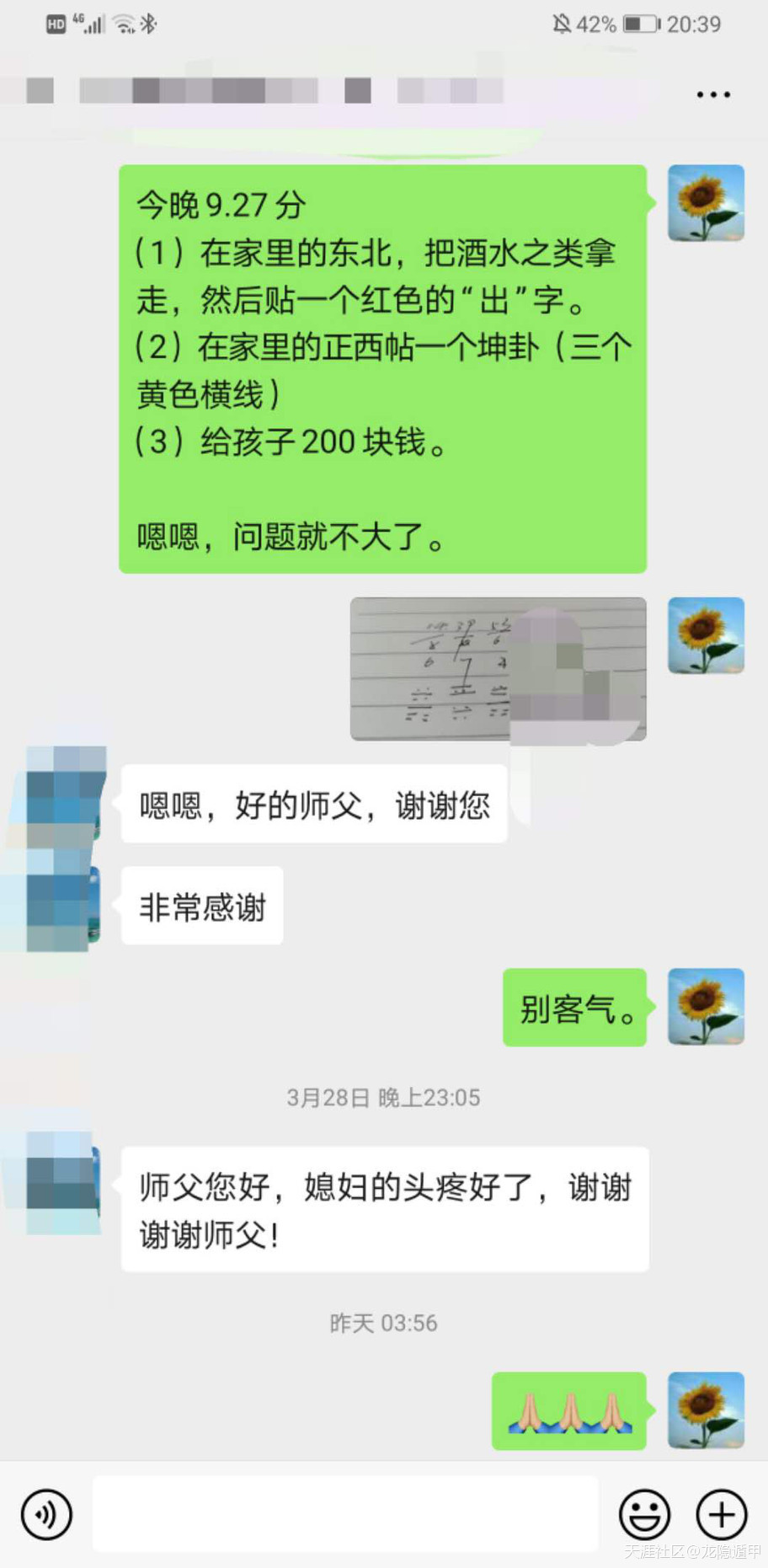 315928842.jpg
