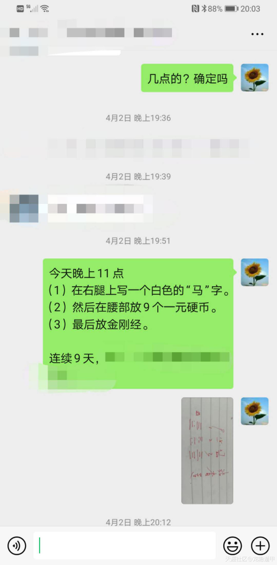 316923924.jpg