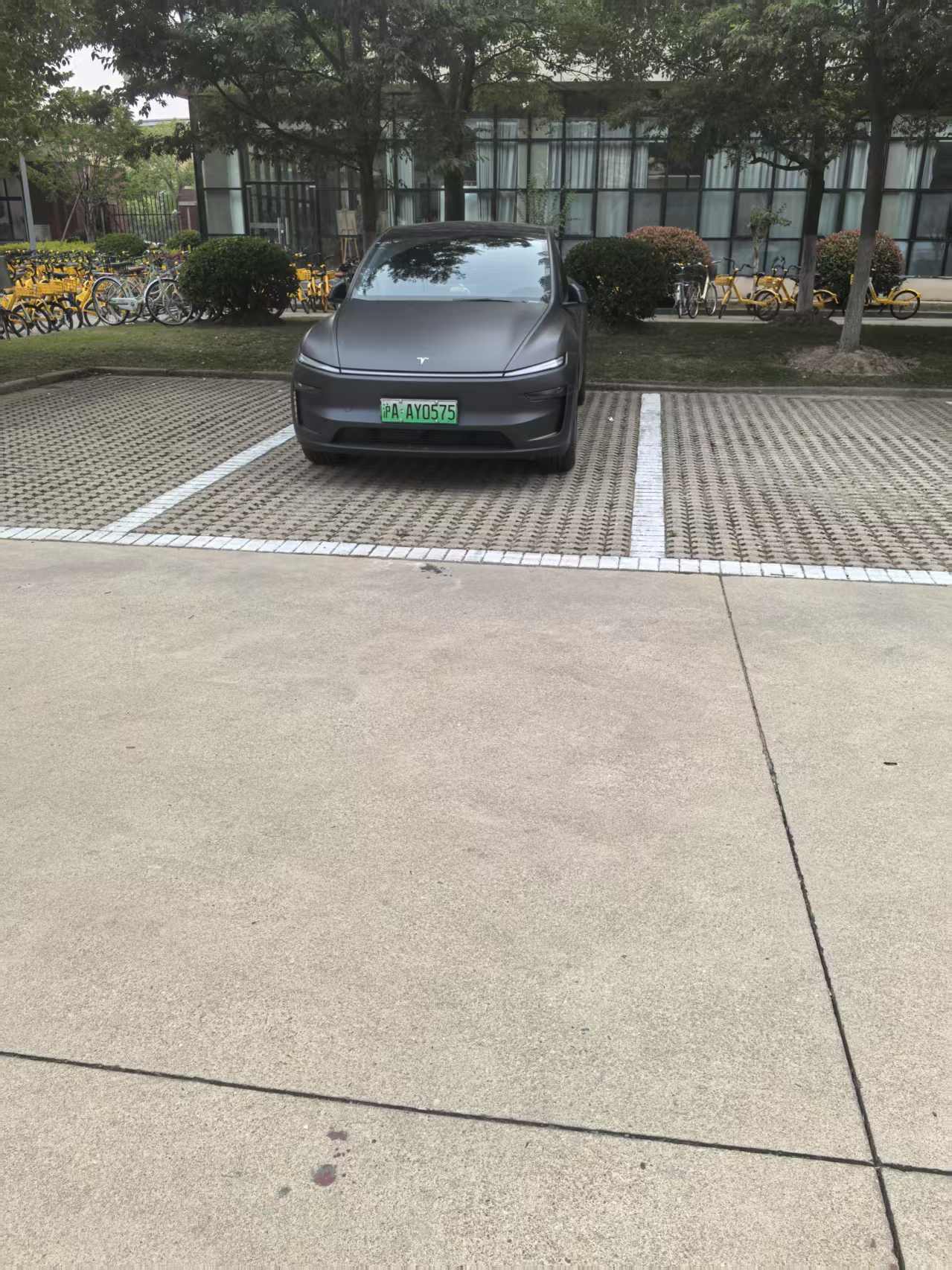 234.jpg